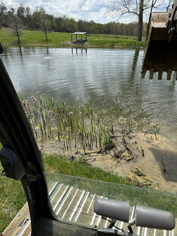 pond