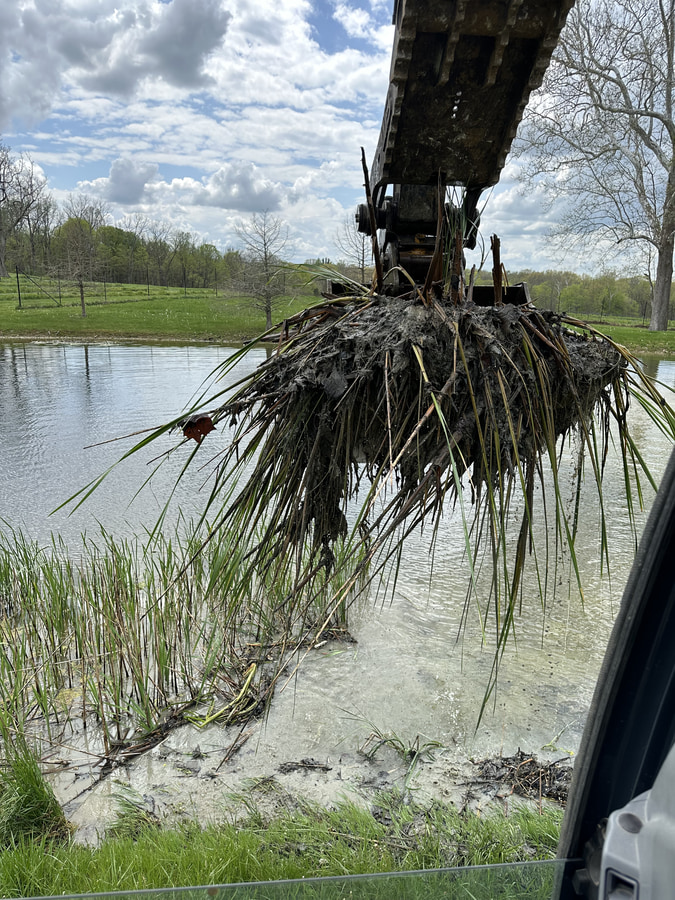 pond